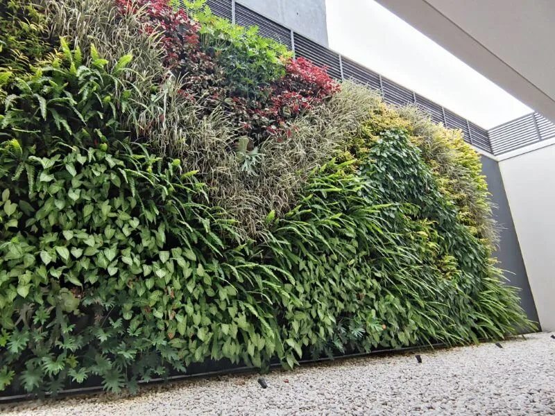 Membuat Vertical Garden di Dinding Rumah Hasil Maksimal | Special