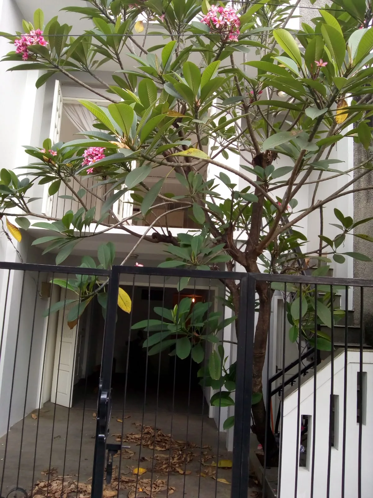 Rumah di Lebak Bulus | Cilandak | Jakarta Selatan