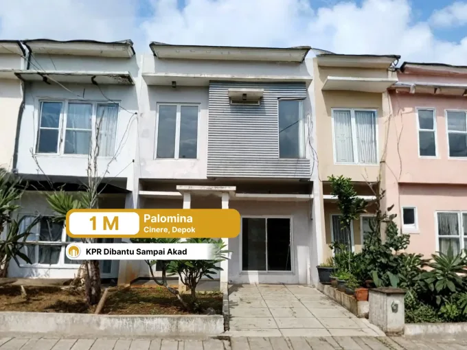 David - Palomino Residence