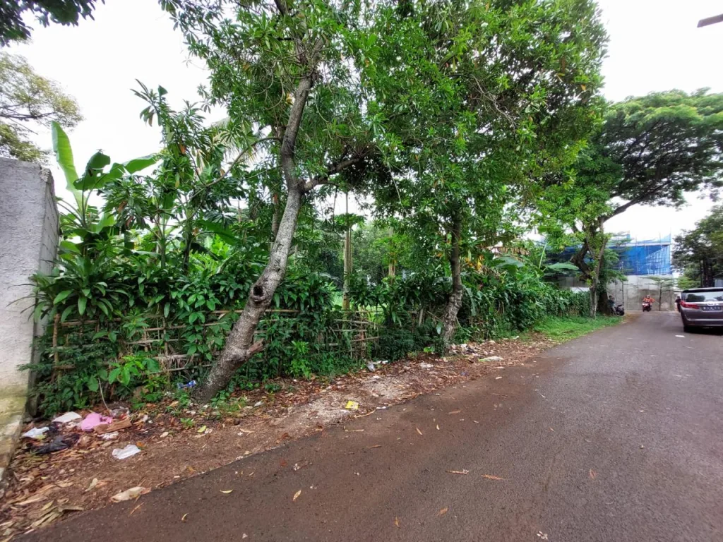 Kesempatan Langka! Tanah dijual di Jakarta Selatan - Jl. Durian Jagakarsa luas 1.200 m² SHM, cocok untuk hunian eksklusif atau usaha. Lokasi strategis dan asri. 