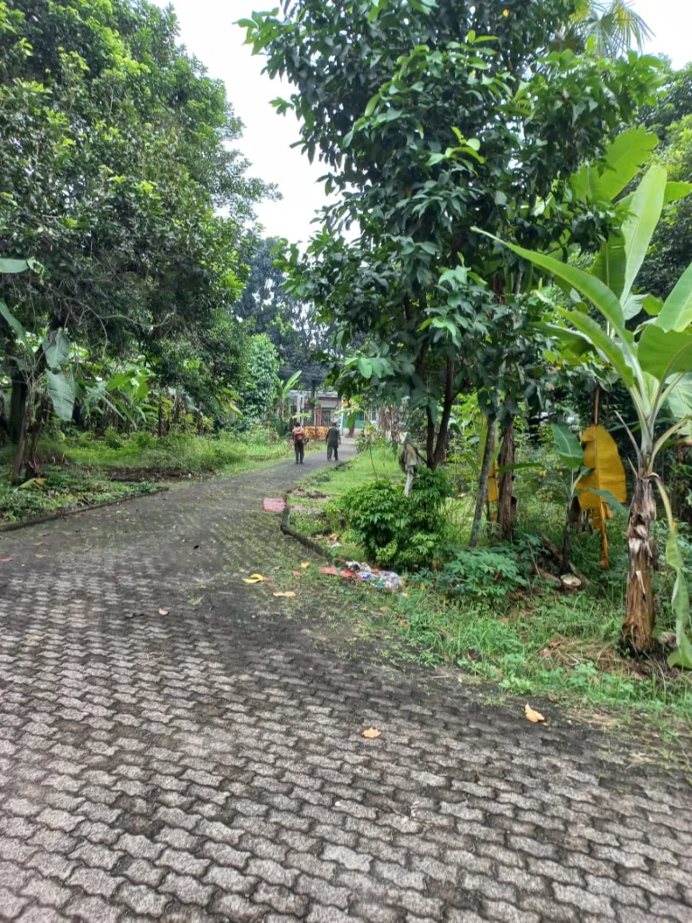 Tanah dijual di Ciracas Kelapa Dua Wetan Jakarta Timur, 6.000 m² SHM, akses jalan 20 m, 15 menit ke Tol TMII. Cocok untuk perumahan. Harga Rp8 jt/m² nego.