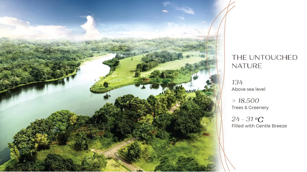 The Forest di Shila Sawangan: kavling eksklusif tepi danau, rumah custom, stok terbatas. Amankan unit favoritmu sekarang, jangan sampai kehabisan!