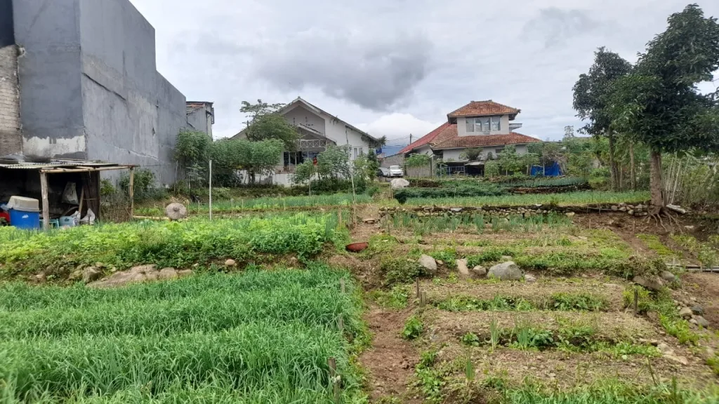 Rumah di Jalan Mariwati, Ciwalen–Cibadak, Sukaresmi Cipanas. Akses wisata, udara sejuk, cocok usaha homestay/kafe. Unit langka, nego cepat. Siap survei.