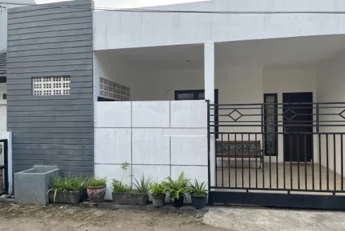 Modern White and Gray House Facade with a Black Metal Gate and Row of Potted Plants Along the Front Porch  Rooma21com