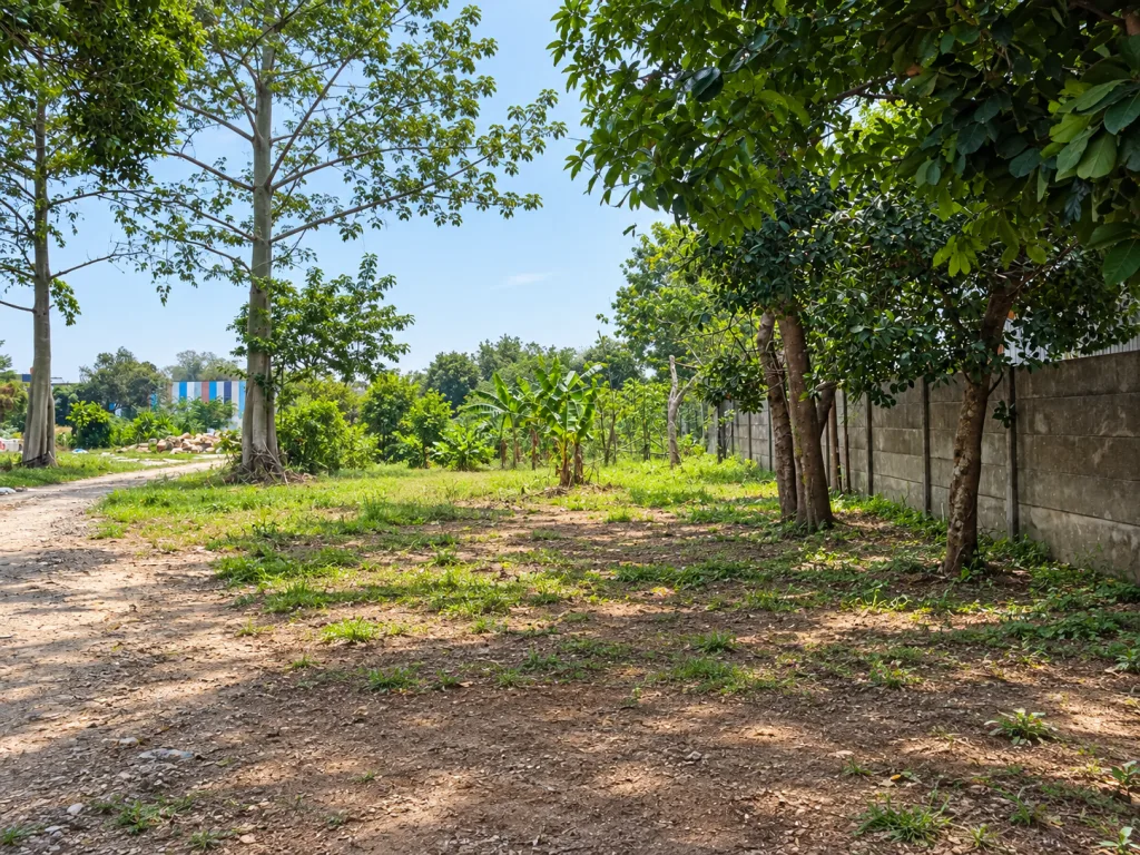 Kontur Tanah Cinangka Sawangan